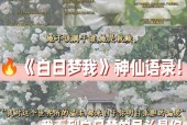 碧蓝航线水无月台词大全（游戏中最经典的情感瞬间）