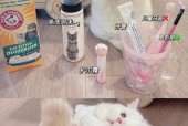 听懂猫咪语言，从此告别养猫小白（以猫咪翻译器为例）